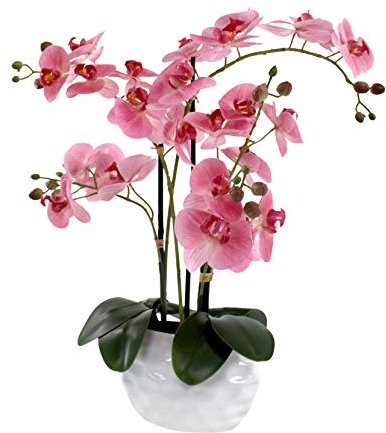 DARO DEKO Kunst-Pflanze Orchidee ovaler Topf weiß Hochglanz und rosa Blüten 58cm hoch