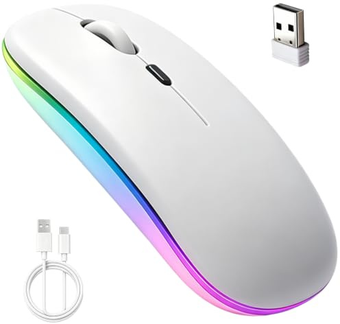Raton Inalambrico Recargable, Raton Bluetooth con Bluetooth 5.1 y USB 2,4 GHz, 3 Niveles DPI Ajustable Raton para Oficina y Hogar, Silencioso Wireless Mouse para Portátil MacBook PC Windows(Blanco)