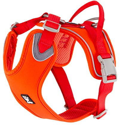 Hurtta Weekend Warrior ECO Hundegeschirr, Hagebutte, 99,1–119,4 cm