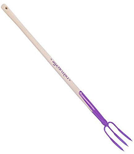 Fourche à Rosier, Framboisine