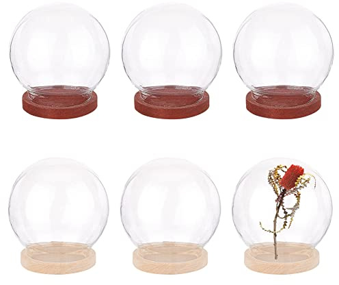 NBEADS 6pz Mini Cupola di Vetro, Cupola Rotonda In Vetro Da 4cm di Diametro Cupola In Vetro Trasparente Cupola In Vetro Trasparente con Base In Legno per Centrotavola Piante Rocce Campioni Decorazioni
