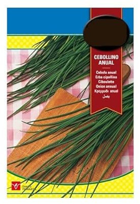 Semillas de Allium Schoenoprasum Cebollino Naturaes para Plantar en Casa