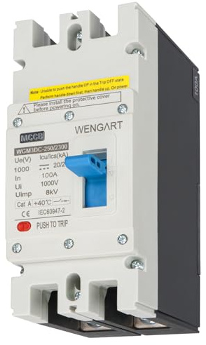 Wengart Interruttore Magnetotermico DC 1000V 100A 2P, Disgiuntore Scatolato MCCB per Fotovoltaico e Stazioni di Ricarica EV, Cablaggio a Polarità Libera, Protezione Impianto Solare, WGM3DC-250