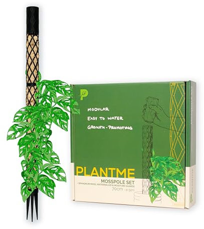 PlantMe Moosstab Midi Set - Rankhilfe Zimmerpflanze Rankhilfen für Kletterpflanzen, Efeutute, Moosstab, Pflanzenstütze, Moss Pole, Kletterhilfe Zimmerpflanzen, Philodendron (schwarz, 70cm)