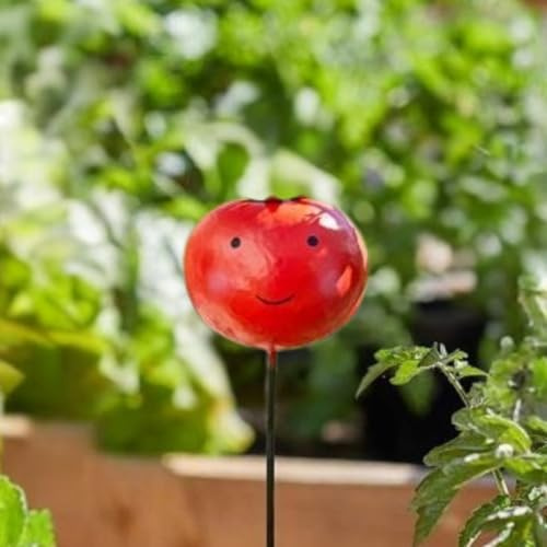 Garden Mile Tomato garden stakes decorative Stake Decorations For Outside Quirky Garden Ornaments Outdoor Waterproof For Flowerbeds Plant Pots Unusual Vegetables Decorative Ornaments
