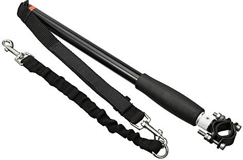 Laisse pour chien pour vélo, vélo, promenade, course à pied, accessoire de fixation