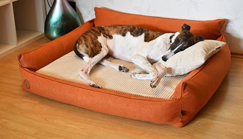 Orthopädisches Hundebett Rocky Visco-Matratze Hundsofa L-XXL für große Hunde maschinenwaschbar Europäischen Union hergestellt (Orange, XL 118 x 104)