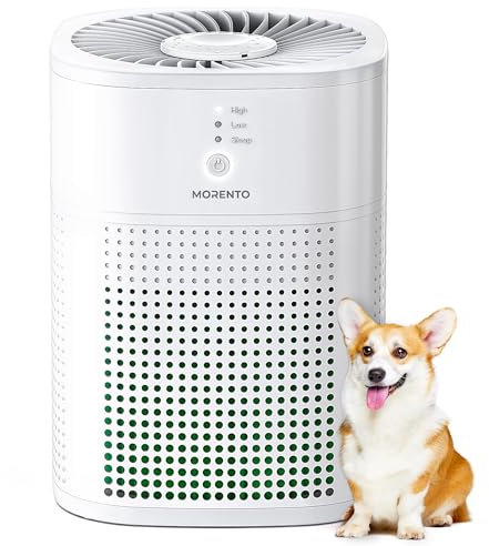 MORENTO HEPA-Luftreiniger mit Aromatherapie-Funktion, HEPA-Filter, kleiner Luftreiniger mit Schlaffunktion und Timer, 24 dB, 1 Pack + 3 Modi