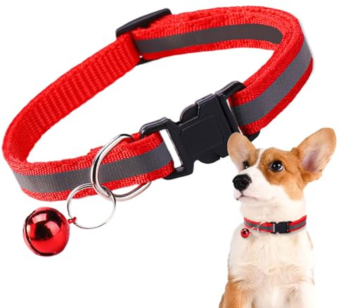 Collier pour Petit Chien | Collier Réfléchissant Cliquetis Nuit,Accessoire Léger Anti-Mâchure Sécurisé pour Éducation Promenades Nocturnes Et Activités Extérieures