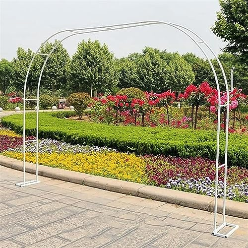 Arche de jardin en métal robuste pour plantes grimpantes - Support de grande arche de mariage - Disponible en 120 cm, 160 cm, 180 cm, 200 cm de largeur (l x H)