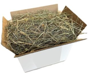 Fieno per conigli criceti cavalli Erba Medica alta qualità Made in Italy Terre di Romagna verde profumata fresca senza ramagli e miscuglio PURA DIGESTIBILE 2kg