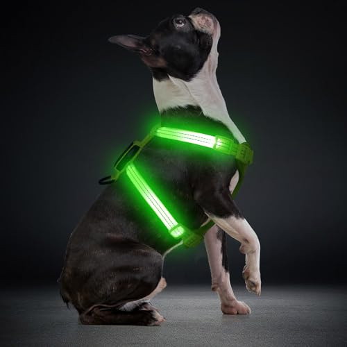 LED Hundegeschirr für kleine Hunde USB-C Wiederaufladbares Beleuchtetes Hundegeschirr Leuchtet Im Dunkeln welpengeschirr xs s Hundeweste Reflektierend für Nachtspaziergänge (Grün)