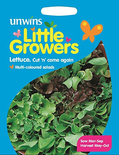 Unwins Pictorial Packet - Little Growers Lettuce Cut n' Come Again - 500 Seeds