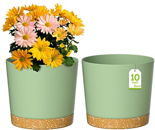 ZMTECH 25 cm Vaso Per Piante Con Foro Di Drenaggio, Vaso Di Plastica Per Piante Da Appartamento All'Aperto, Erbe, Orchidee, Piante Da Giardino Di Menta (Verde, Set Di 2)