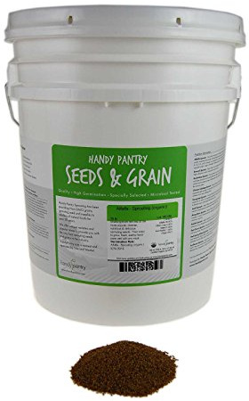 Organic Alfalfa Sprouting Seed- 35 Lbs - Organic - High Sprout Germination- Edible Seeds, Gardening, Hydroponics, Growing Salad Sprouts, Planting, Food Storage & More