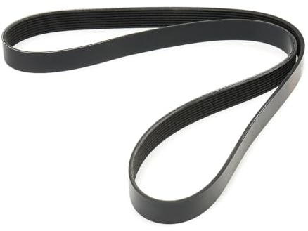RIDEX 305P0482 Keilrippenriemen Kompatibel mit BMW 5 Touring F11 11287589365 11287628659