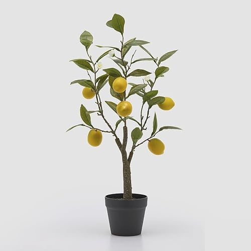 EDG Enzo De Gasperi Limone con Vaso e Foglie x6 Pianta Artificiale H 60 Cm Verde Giallo