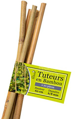 La Cordeline Bambusstäbe LTB60-20, Natur, 20 Stück