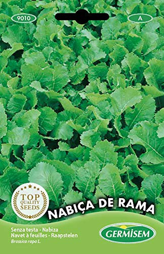 Germisem Senza Testa Semi di Verdi Rapa 20 g