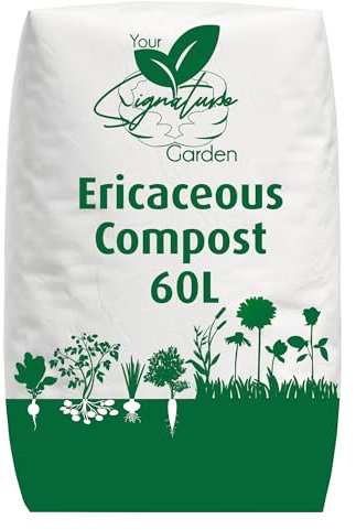 Laeto Ericaceous Compost | Organic Acidic Potting Soil for Outdoor Plants | Ideal for Azaleas, Rhododendrons, Blueberries, Camellias & Citrus | Recyclable Bag 60L