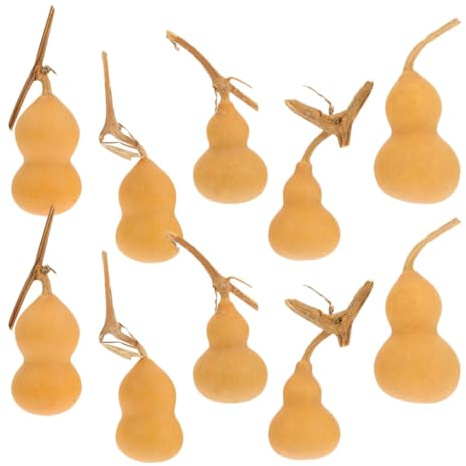 Adornos de Calabaza Mini 10 Piezas Natural para Fiestas | Calabazas Decorativas Color Caqui, Estilo Surtido, Ligeras y Fáciles de Colocar en Oficina o Centro Comercial