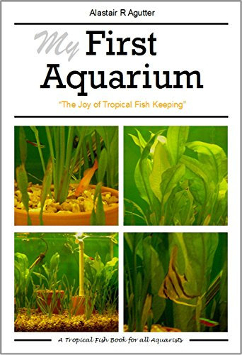 My First Aquarium: The Joy of Tropical Fish Keeping