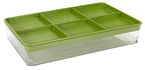 COOK CONCEPT Sprossenglas 6 Fächer 20,5x5,5x30 cm | Keimgerät aus Kunststoff, 6 Fächer, für die Anzucht von Keimlingen zu Hause, 20,5x5,5x30cm, leicht zu reinigen, für die Küche