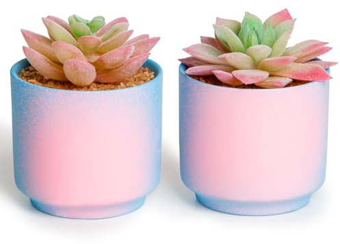 ZENIDA Pink Desk Decor, Artificial Succulents with Pots, Mini Potted Plants, Small Fake Plants for Office, Desk, Bathroom, Bedroom, Office Decor for Women, Party Gifts