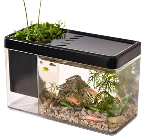 acquario trasparente, serbatoio per pesci dell'acquario, portapenne per gamberetti, betta, piccoli habitat di granchi