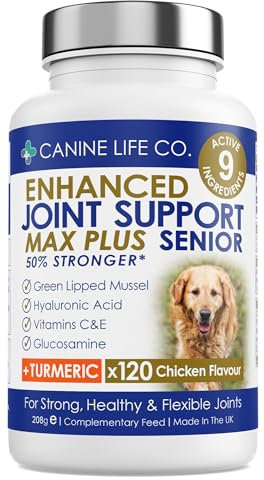 Senior MAX High Strength Dog Joint Supplements With Turmeric Glucosamine & Green Lipped Mussel For Older Stiffer Dogs Age 9+ 120 Chewable Tablets Made In UK - Canine Life Co. ((1 Pot (120 Tablets)))