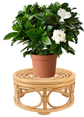 Tissting Pflanzenständer Rattan 21cm / 28cm Runde Sockel Blumenhocker Blumentopfständer Innen Außen Deko Pflanzenregale Topfgestell für Balkon Garten Dekoration(8.3x4.3in)