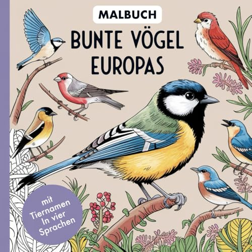 Bunte Vögel Europas – Ausmalbuch mit 50 wunderschönen realistischen Vogelmotiven und Namen für kleine und große Entdecker ab 6 Jahren