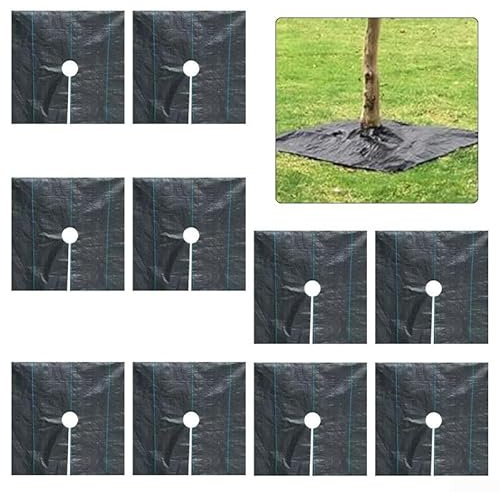 HpLive Lot de 10 tapis de protection de jardin en non-tissé anti-mauvaises herbes, paillis, perméables à l'eau, pour verger, protection des plantes, 1 m x 1 m, noir