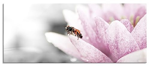 Quadro in vetro panoramico, da parete in vero vetro, dolce ape su fiori di ninfea, 120 x 50 cm, con sospensione e distanziatore
