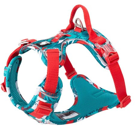 Hundegeschirr Ohne Ziehen, Reflektierende Hundeweste mit Clip Vorne und Weich Gepolstertem Vertikalem Griff, 3 Leinenbefestigungen für Kleine, Mittelgroße und Große Hunde,X-XSmall