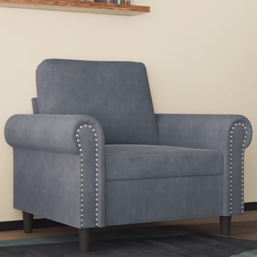 Willood Sessel, Sofa Relaxsessel mit gepolstertem Sitz Armlehnen, Fernsehsessel Loungesessel Metallgestell, Polstersessel Ruhesessel Design Sofa Stuhl Dunkelgrau 60 cm Samt