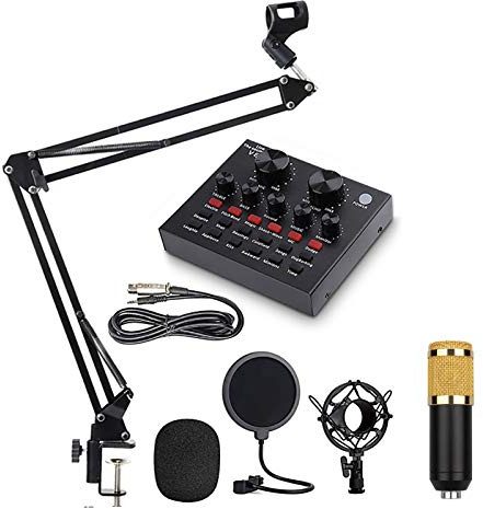 RUHEN Capacitor Recording Laptop Gaming Microphone,Podcast Microphone Kit,Professional V8 Live Sound Card,Very Suitable for Youtube/Video Conference/Game/Live Broadcast/Singing/Skype