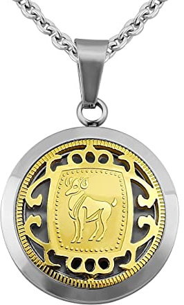 Hanessa Sternzeichen Halskette in Silber – Edelstahl Kette mit Anhänger & Gravur – Personalisierter Schmuck für Damen & Herren, 50-60 cm – 12 Sternzeichen zur Auswahl