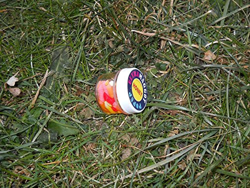 Ultra Corn Ultra Maggot Pop Up Honey Multicolor 5302 in Dip Kunstmade Künstliche Maden Hakenköder