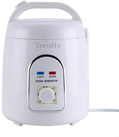 Zerodis Generatore Sauna a Vapore Portatile 1.8L 220V - Pentola a Prova di Esplosione Macchina Evaporatore per Casa Spa, Doccia, Corpo Relax, Abbellimento del Viso