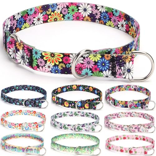 Haoyueer Trainings-Hundehalsband, No-Pull-Martingal-Halsband, Schlaufhalsband mit verschiebbarem Stoppring für kleine, mittlere, große Hunde (L, Feuerwerk)