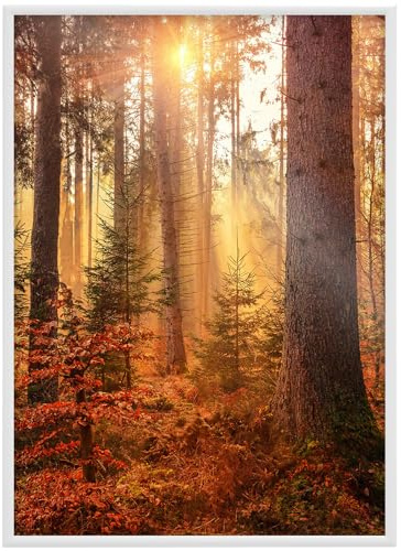 RAWWEST.BIS Alu Bilderrahmen 50x70 cm mit schnellem Montage-System Plakatrahmen, Alurahmen mit Acrylglas Rahmen aus Aluminium für Bilder Poster Fotos Posterrahmen Fotorahmen, Weiß