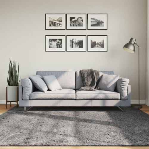 Owoxanthellate Teppich HUARTE Kurzflor Anthrazit 200x200 cm Weicher Waschbarer Flokati mit Rutschfester Unterseite Geprüftes Polyester für Wohnzimmer Schlafzimmer Büro