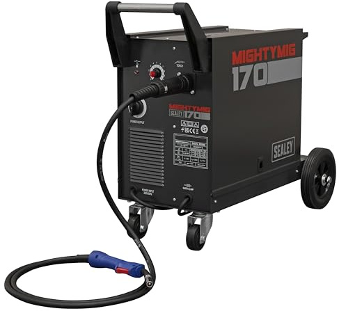 Sealey Mightymig170 Professional Gas/No-Gas Mig Welder 170Amp with Euro Torch
