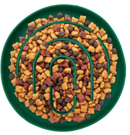 Bol À Croquettes Antiglouton pour Chat | Gamelle Anti-Glouton pour Chiot Et Petites Races - Bol Repas Sain pour Salon Et Chambre Viande De Poulet Et Bœuf en Dés