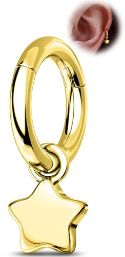 OUFER Helix Piercings Schmuck G23 Titanium Rook Piercing Ring Gold Knorpel Ohrringe Hoop Klare CZ Stern Daith Clicker Hänge Helix Ohrring Ring für Frauen 6 8 mm