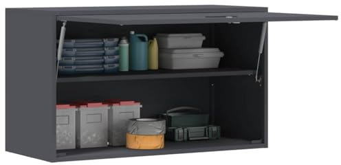 vidaXL Armoire Murale pour Garage Anthracite 90 x 40 x 53 cm, Armoire de Rangement Salon, Meuble Mural Moderne, Gain de Place, Organisateur Pratique pour l'intérieur
