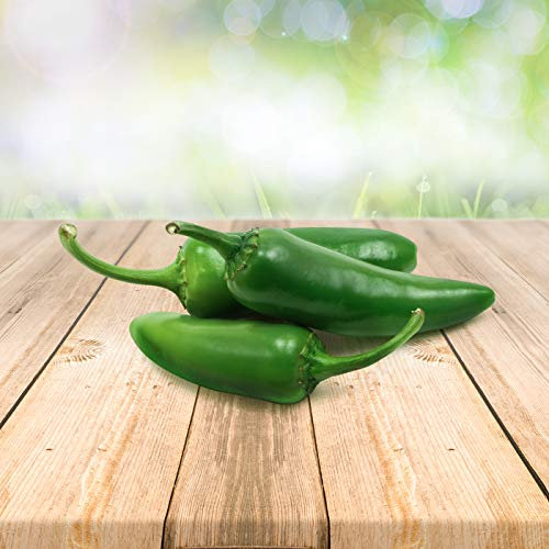 Piment Jalapeño 25 x Graines du Portugal 100% Naturel sans Aide à la Culture Chimique ni Génie Génétique