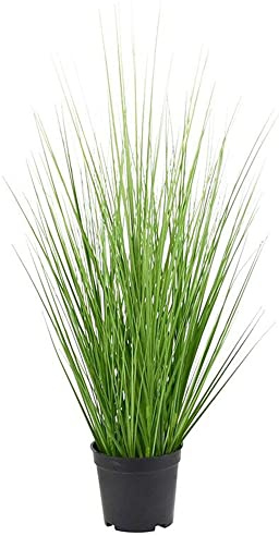 Aisamco Erba Decorativa Artificiale Vaso Verde Arbusti Artificiali Finti Pianta Erba di Grano Foglie Finte Arbusti Altezza 60 Cm per la Decorazione del Giardino dell'Ufficio Domestico