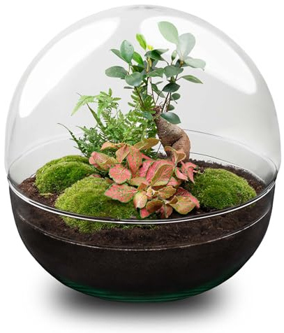 urbanjngl - Dome XL Bonsai Terrarium Set – Rundes Glas-Terrarium, 2-teilig, DIY Kit für Pflanzen, Ø 28 cm, Höhe 28 cm, ideales Mini-Ecosystem für Zuhause